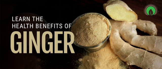 Ginger Health Benefits