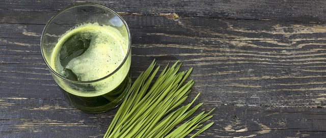 Wheatgrass