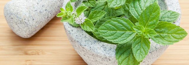 The detox benefits peppermint
