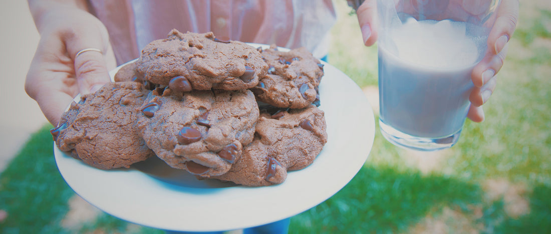 Double Chocolate Chip 🍫 Vegan Cookies 🍪