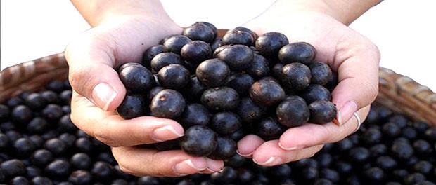 Detoxifying Superfood: Açaí