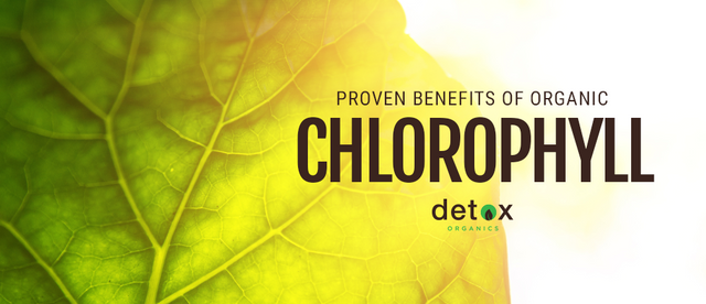 Organic Chlorophyll