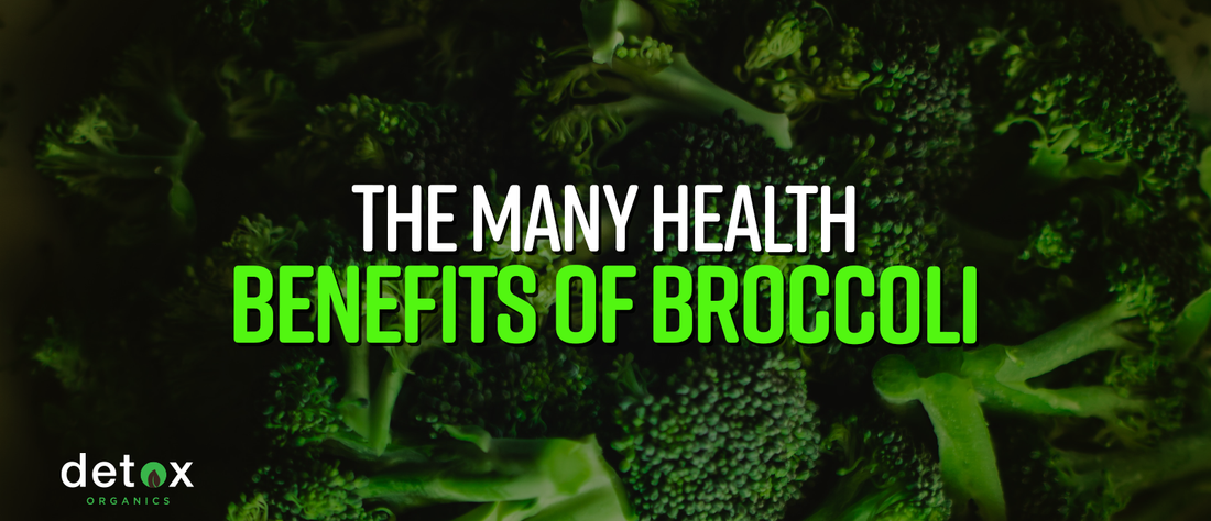 The Many Health Benefits of Broccoli