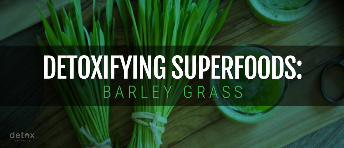 Detoxifying Superfoods: Barley Grass