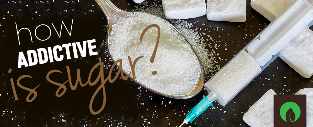 How addictive is sugar?
